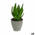 Фото #1 товара Декоративное растение Алоэ Вера 14 x 21 x 14 cm Серый Зеленый Пластик (6 штук)