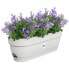 Фото #5 товара Ящик для цветов Elho Planter White Blue 50 см