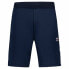 Спортивные мужские шорты Le coq sportif Tri Regular N°1 Sky Синий