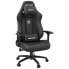 Фото #1 товара Стул Gaming AndaSeat Dark Demon Premium Чёрный