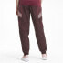 Puma Tfs Woven Track Pants Womens Burgundy Casual Athletic Bottoms 597761-18