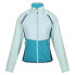 Фото #3 товара REGATTA Steren II Hybrid softshell jacket