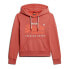 Фото #2 товара SUPERDRY Puff Print Vl Graphic hoodie