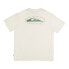 Фото #4 товара QUIKSILVER Mikey Ss short sleeve T-shirt