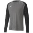 Puma teamPacer GK LS M goalkeeper sweatshirt 704933 43