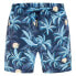 Фото #1 товара HURLEY Cannonball Volley 17´´ Swimming Shorts