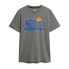 Фото #2 товара SUPERDRY Code Logo Great Outdoors Graphic short sleeve T-shirt