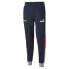 Puma Rbr Sds Track Pants Mens Blue Casual Athletic Bottoms 533801-01