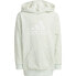 ADIDAS Future Icons Badge Of Sport hoodie