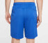 Nike Dri-FIT CJ2008-480 Shorts