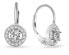 Silver glittering earrings with zircons AGUC2700