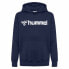 Фото #1 товара HUMMEL Go 2.0 Logo hoodie