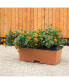 Фото #2 товара Садовый набор для выращивания растений NOVELTY Earthbox Natural, Терракотовый