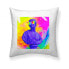 Фото #1 товара Чехол для подушки Belum Pride 14 Разноцветный 50 x 50 cm