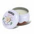 Scented Candle The Fruit Company 150 g Coconut