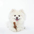 Фото #3 товара Прорезыватель для зубов для собак Benebone Коричневый Животные