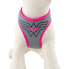 CERDA GROUP Wonder Woman Dog Harness