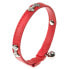 FERPLAST Joy 12 mm 35 cm Cat Collar