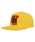 Фото #3 товара Men's Gold Tuskegee Golden Tigers Evergreen TU Snapback Hat