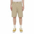 DICKIES Duck Canvas shorts