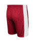 Фото #2 товара Men's Crimson Alabama Crimson Tide Panel Shorts