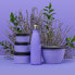 Фото #6 товара SWELL Hillside Lavender 500ml Thermos Bottle