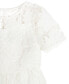 Toddler Girls Illusion Cap Sleeves Burnout Crochet Social Dress