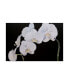 Фото #1 товара Sandra Iafrate Dramatic Orchids I Canvas Art - 20" x 25"