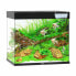 JUWEL Lido LED 200 Aquarium