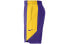 Фото #3 товара Nike NBA 洛杉矶湖人队短裤 男款 紫色 / Брюки баскетбольные Nike NBA AJ5078-504