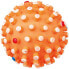 Игрушка для собак Trixie Мяч Разноцветный Винил Внутренность/Внешний