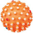 Dog toy Trixie Ball Multicolour Stick Inside/Exterior