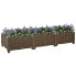 Фото #3 товара Raised Bed 47.2"x15.7"x9.1" Polypropylene