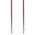 Фото #5 товара VOLKL Phantastick poles