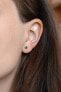 Silver earrings AGUP1562S