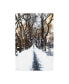 Фото #1 товара Philippe Hugonnard Snowy road Central Park Canvas Art - 27" x 33.5"