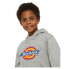 DICKIES Youth Logo hoodie