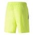 PUMA TeamLiga Shorts