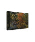 Kurt Shaffer Yellow Maples and Hemlocks Canvas Art - 15" x 20"