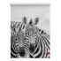 Фото #1 товара Klemmfix-Rollo Zebra