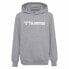 HUMMEL Go 2.0 Logo hoodie