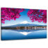 Фото #1 товара Leinwandbild Berg Fuji See Rosa Blätter