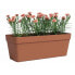 Jardiniere - Kunststoff - Terrakotta - Rechteckig - L49,9 x T20 x H18,1 cm - ARTEVASI
