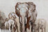 Фото #7 товара Acrylbild handgemalt Weg der Elefanten