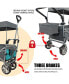 Collapsible Utility Wagon with Canopy