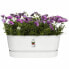 Фото #3 товара Ящик для цветов elho Planter White 60 cm Plastic