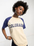 Daisy Street – Locker geschnittenes T-Shirt mit aufgesticktem „Colorado“-Grafikprint und Raglanärmeln