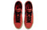 Nike Blazer Low SB "Grant Taylor" DC7695-600 Sneakers
