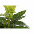 Декоративное растение DKD Home Decor PVC полипропилен 25 x 25 x 30 cm