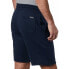 Фото #2 товара COLUMBIA Logo Fleece Shorts